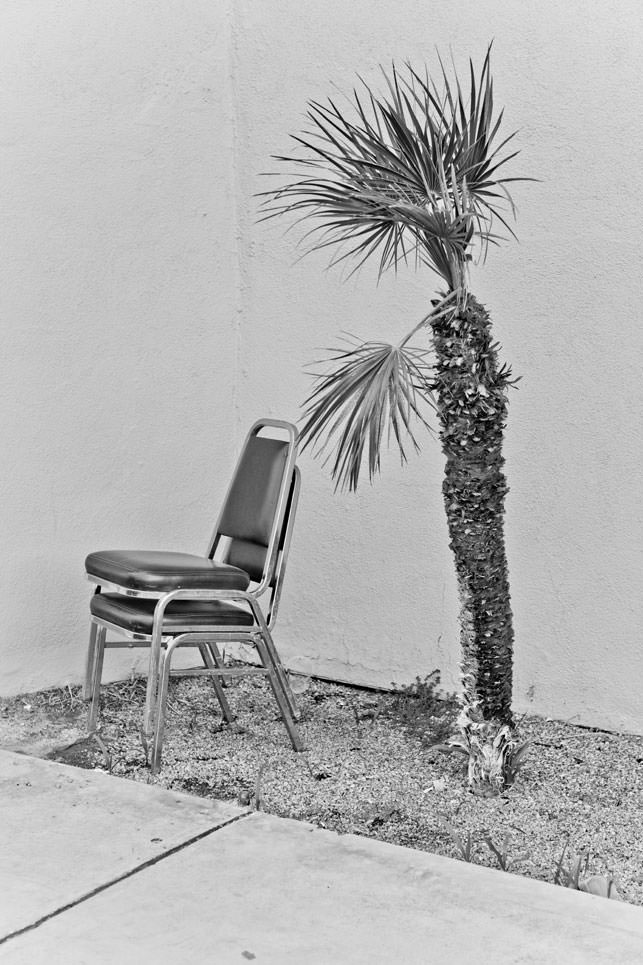 Photography - After woods - Les Graphiquants